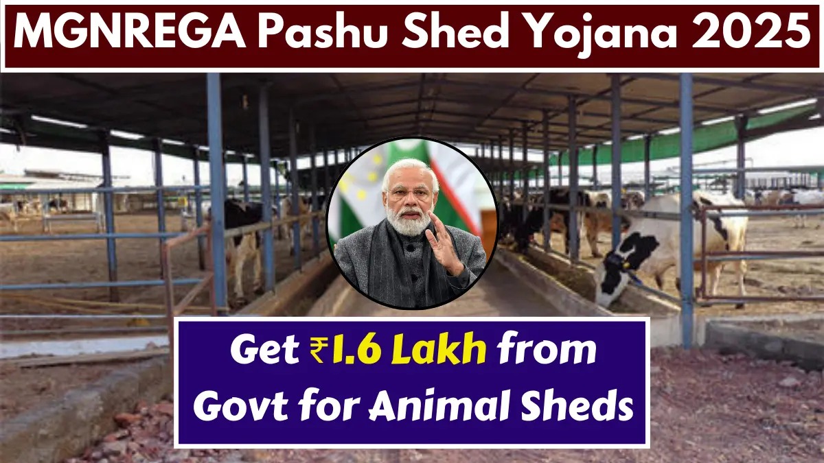 MGNREGA Pashu Shed Yojana 2025