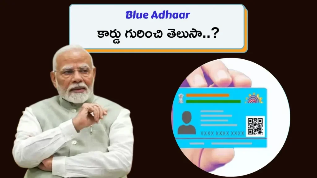 Blue Aadhaar Card