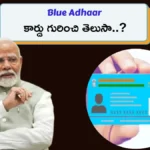 Blue Aadhaar Card