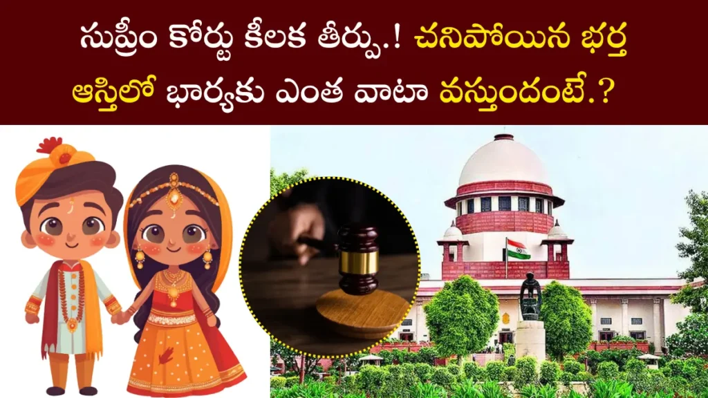 Wife's rights in husband's property